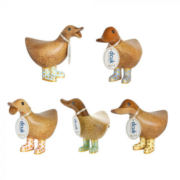 Picture of Pastel Welly Ducks - Small | The Dcuk Company