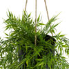 Picture of Artificial Willow Hanging Potted Plant on Rope