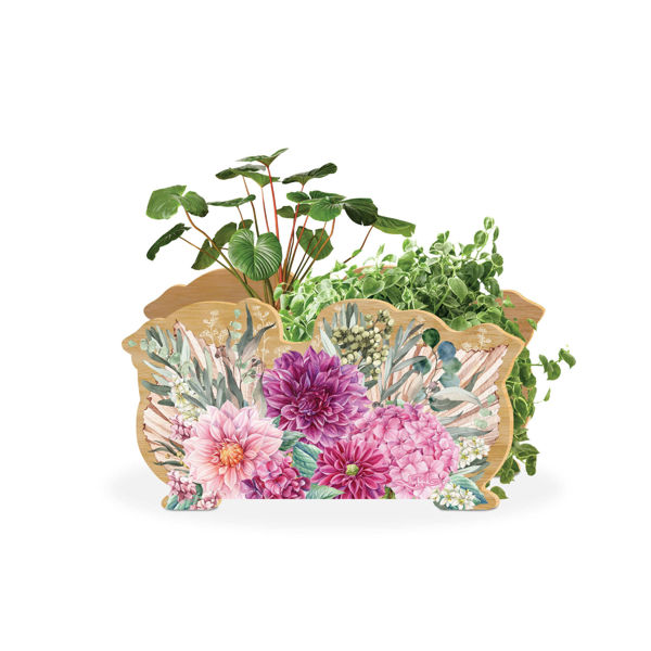 Planter Box - Chrysanthemum  | Lisa Pollock