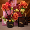 Mid Night Rose Diffuser - Grasse Rose & Spice | Studio Sol